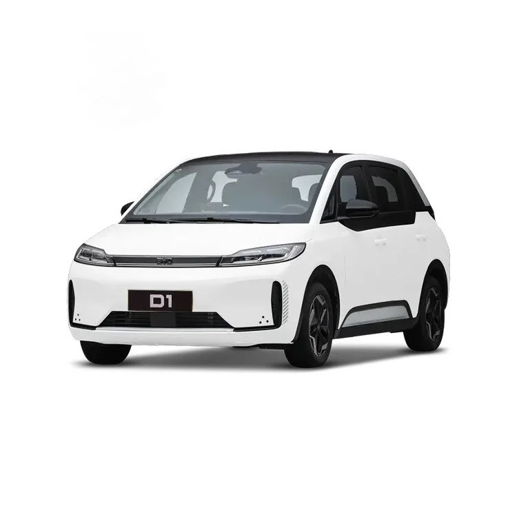 BYD D1