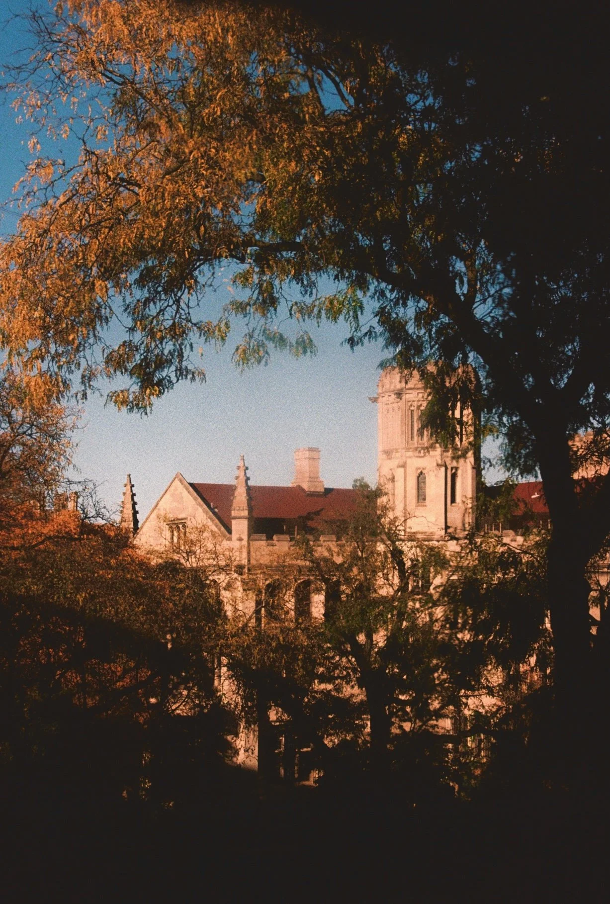 R1-09520-010A.jpeg