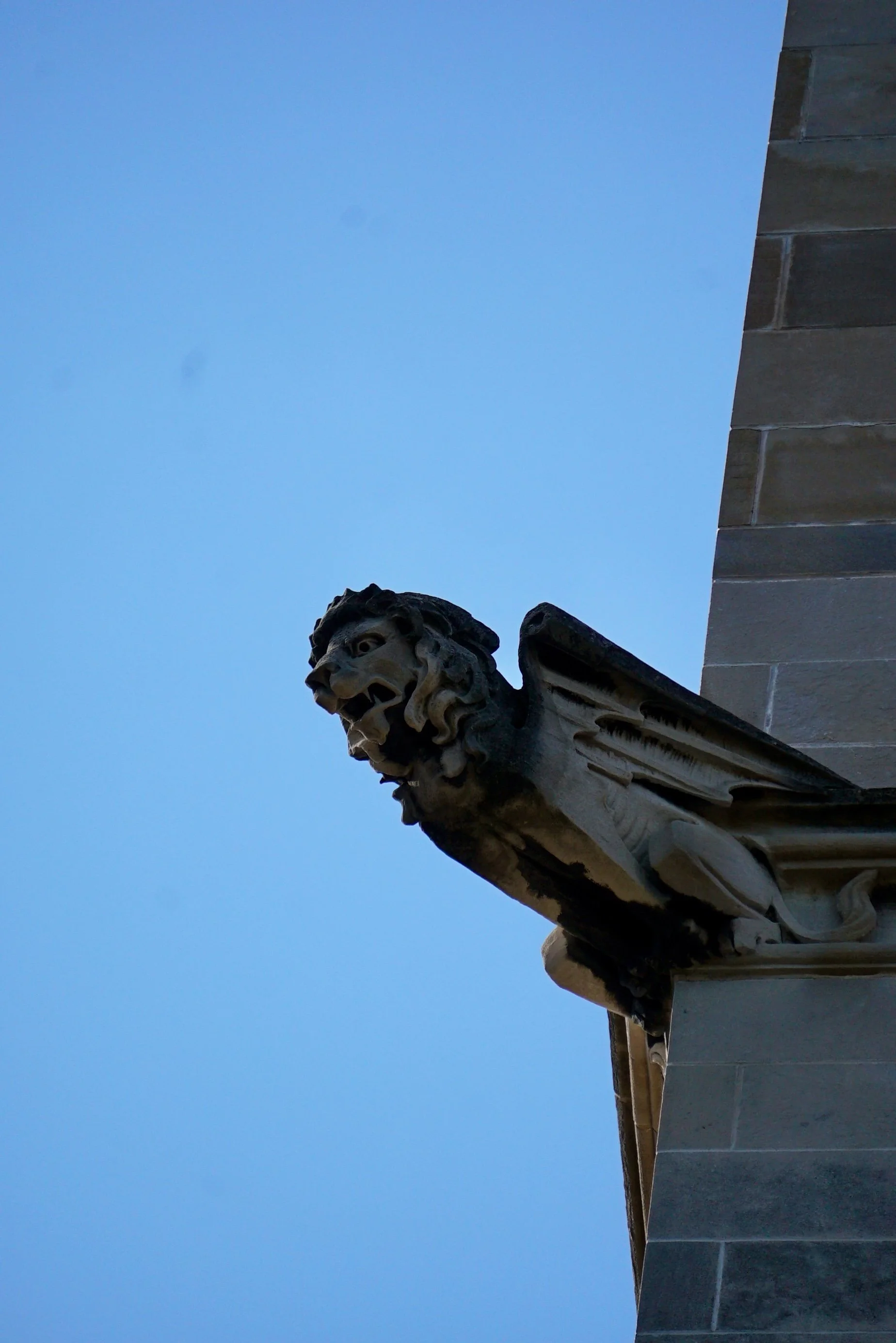 DSC07783.jpeg