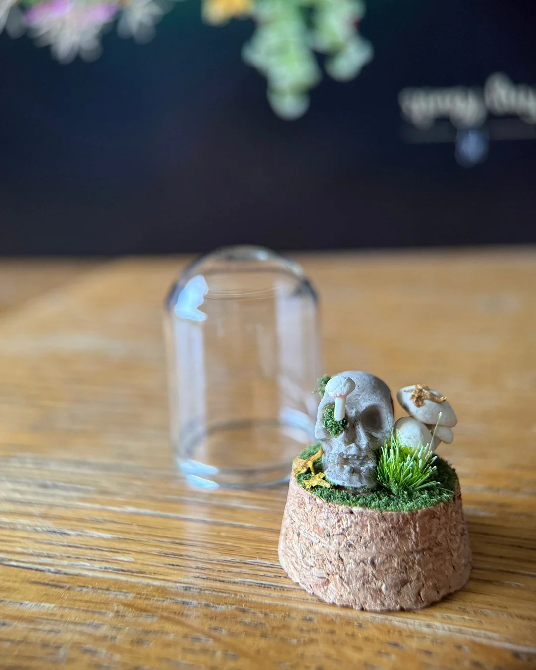 A Whimsical Toadstool 4.jpg