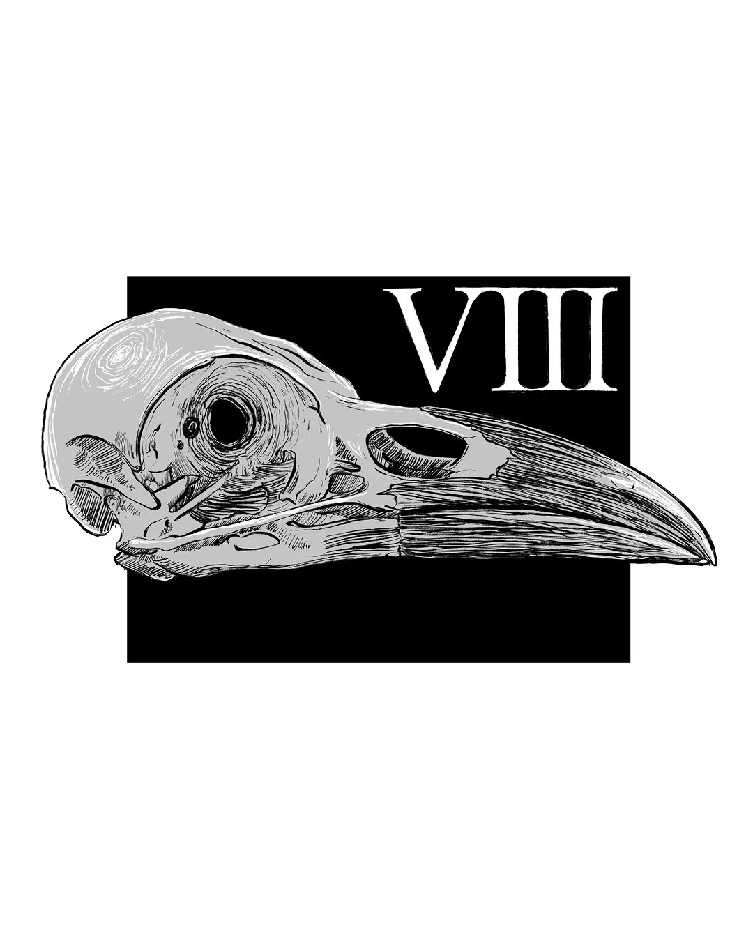 Corvus VIII8.jpg