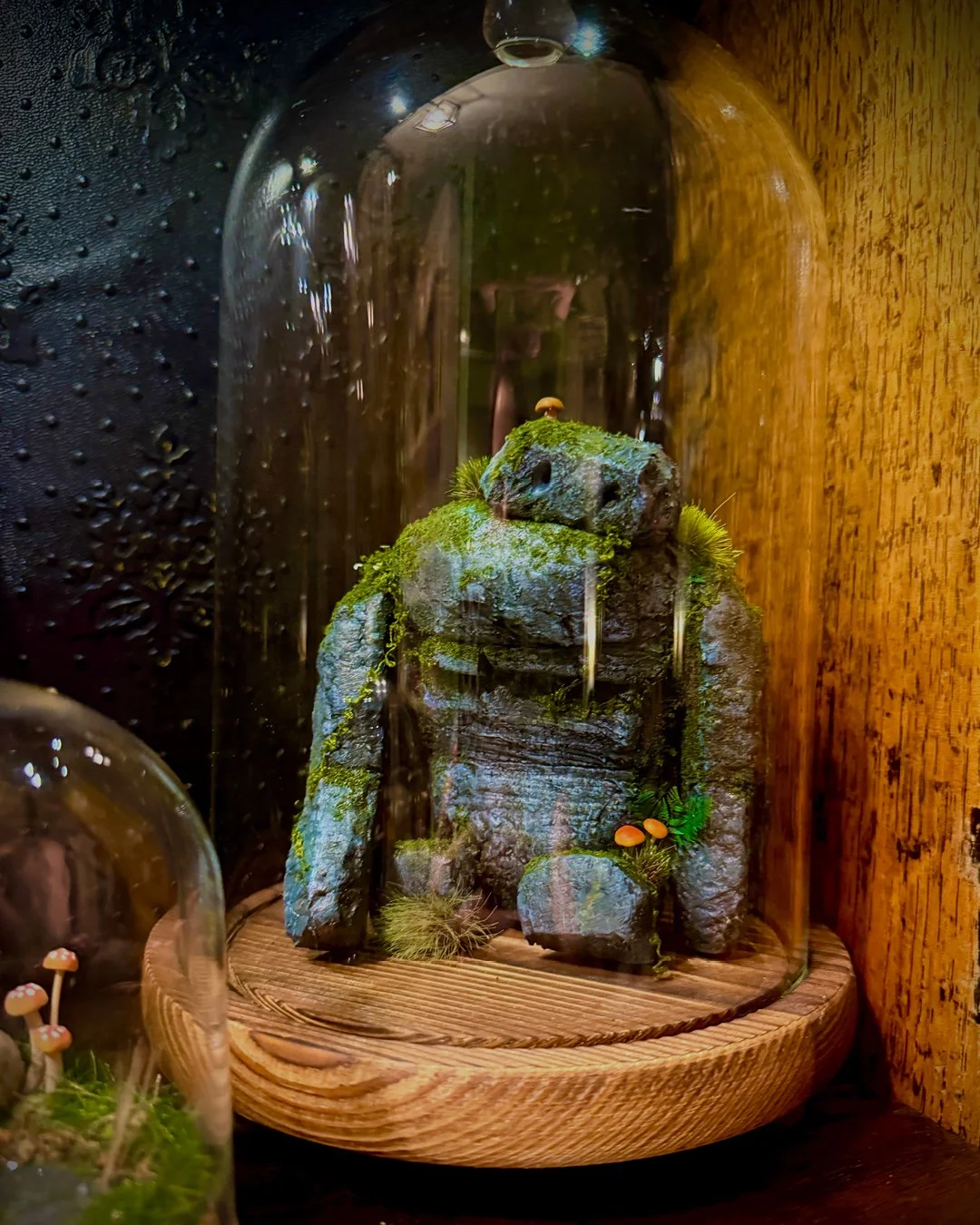 A Whimsical Toadstool 5.jpg