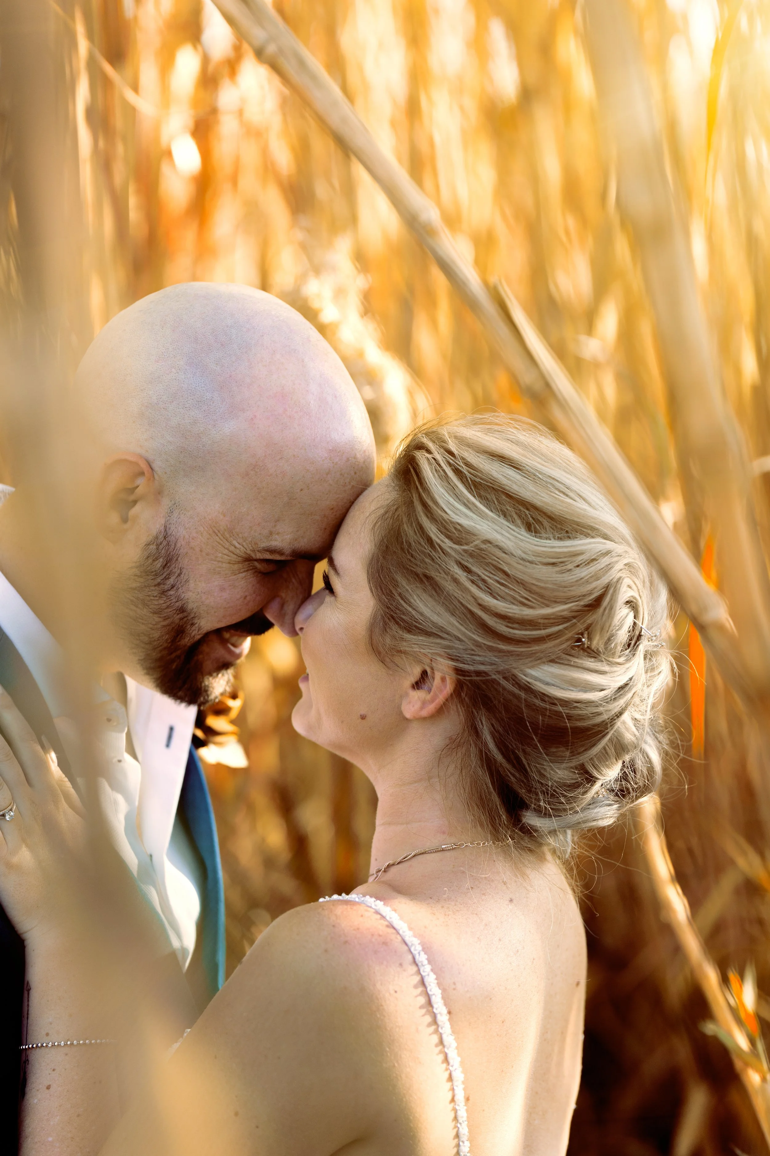 A couple sharing an intimate moment with their foreheads touching in a wheat field during sunset.