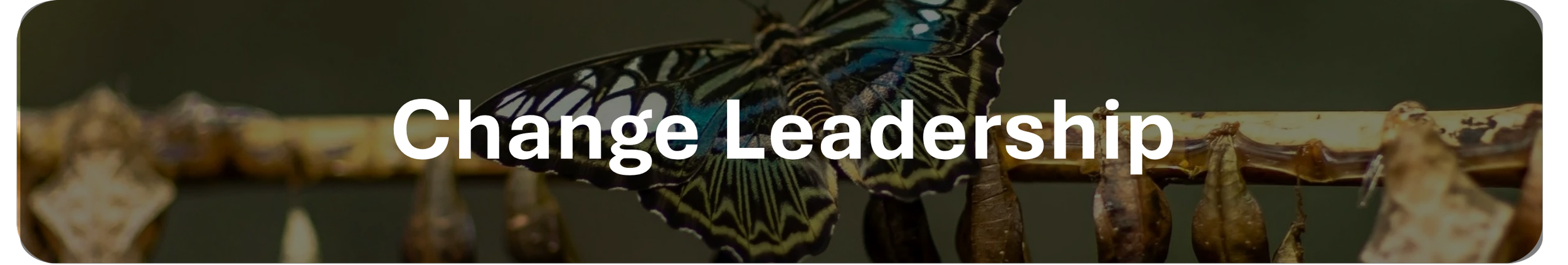 A butterfly perched on a branch with the text "Change Leadership" overlayed.