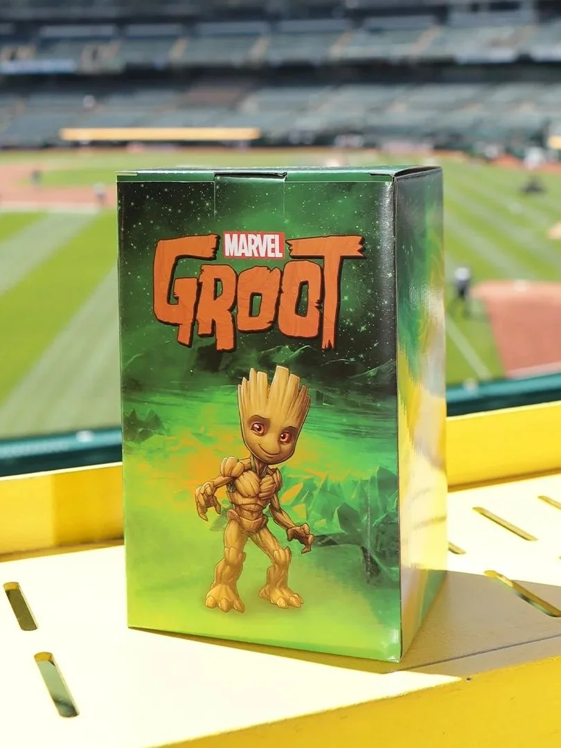 1080x1080_Groot+Box.jpg