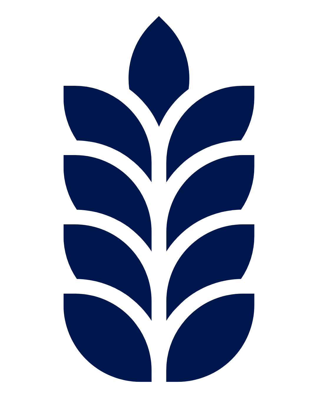 Stylized blue and black plant logo with six dark blue leaves on a black background.