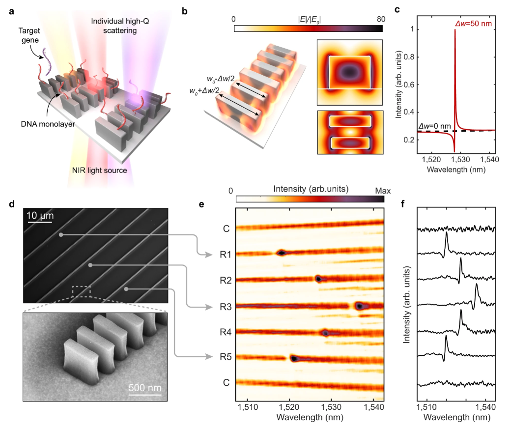 Rapid genetic screening with high quality factor metasurfaces