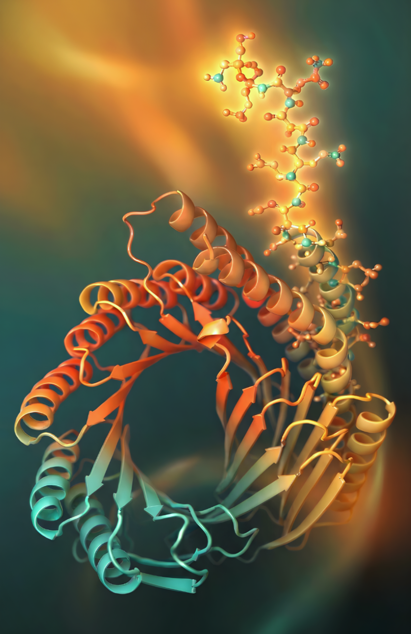 A colorful digital illustration of a molecular structure with intertwined helices and strands against a blurred background.