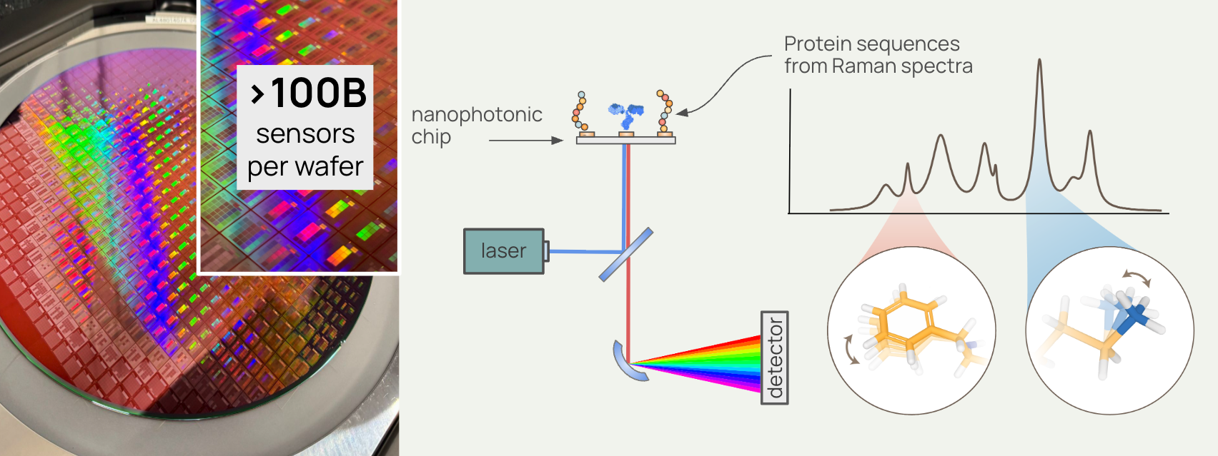 Schematic representation of how the deSIPHR platform works.