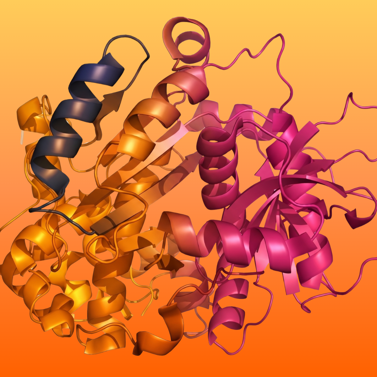 Colorful 3D rendering of intertwined purple, orange, and yellow protein helices, representing a molecular structure.
