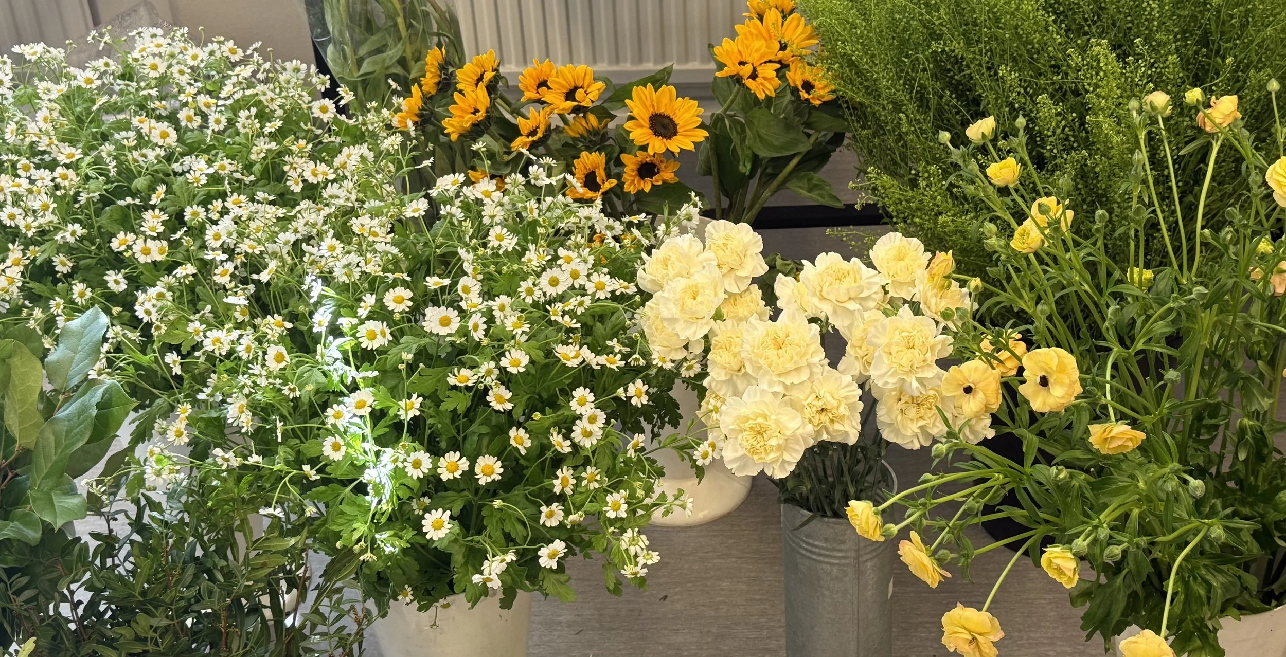 Various potted flowers on a wooden surface, including white daisies, yellow flowers, and other yellow blossoms with green foliage.