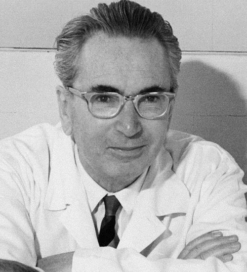 A black and white photograph of Victor Frankl wearing glasses, a dress shirt, and a tie. He is smiling with his mouth closed.