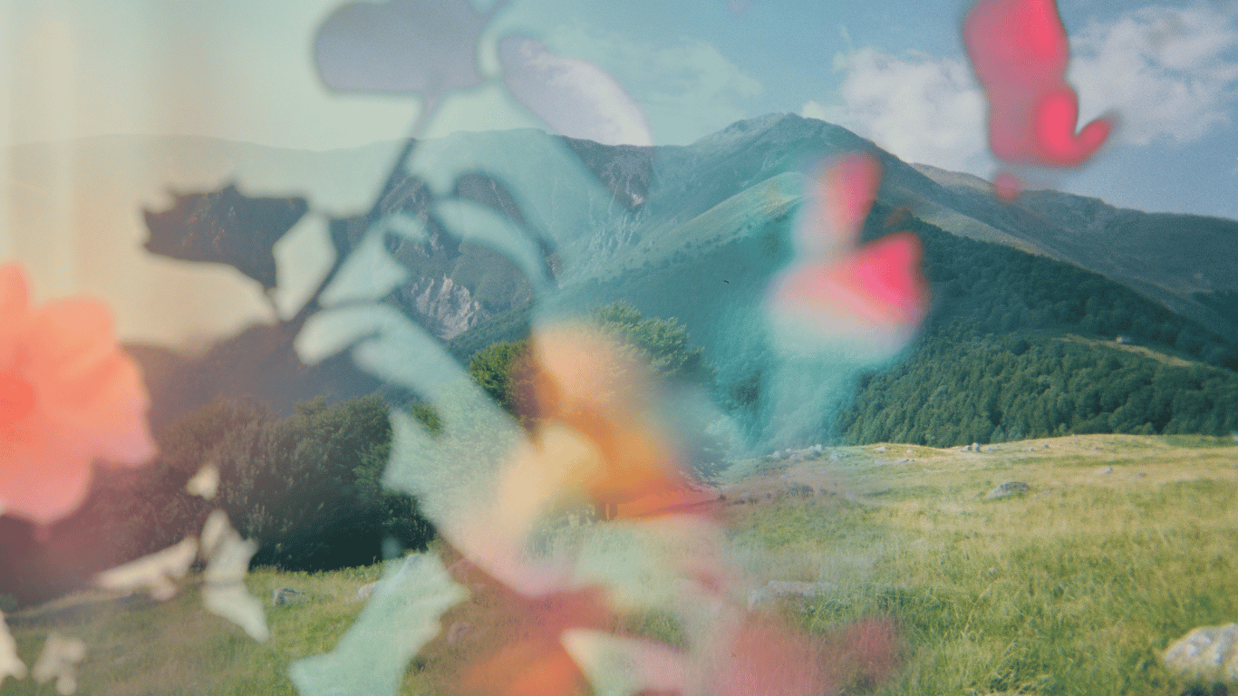a photo of mountains overlaid with an out of focus floral image with pink, peach, and orange flowers.