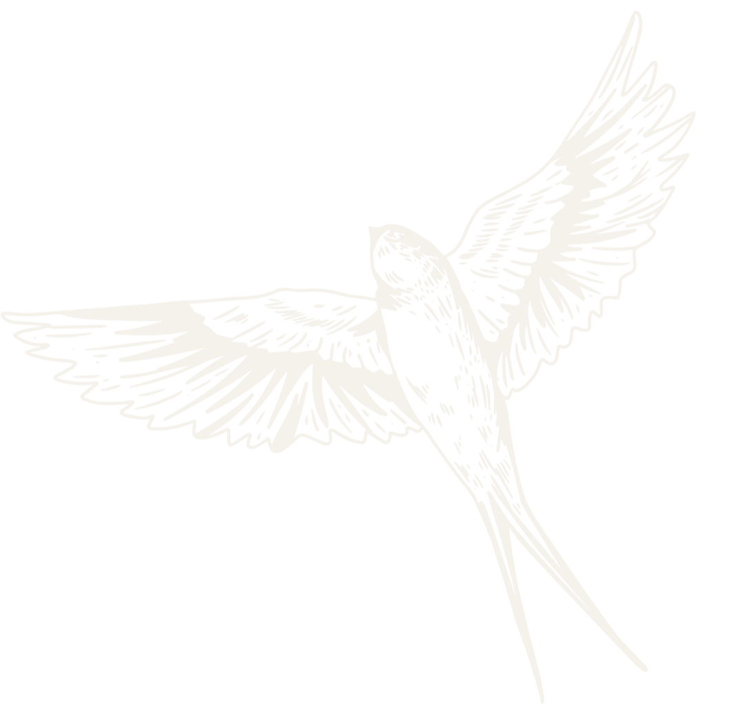 hand drawn bird with it's wings spread wide.