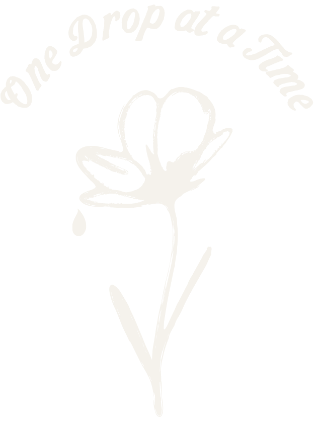 Vintage script text shaped in a curve reads "One drop at a time"  over a hand drawn wildflower with one drop of dew falling off a petal
