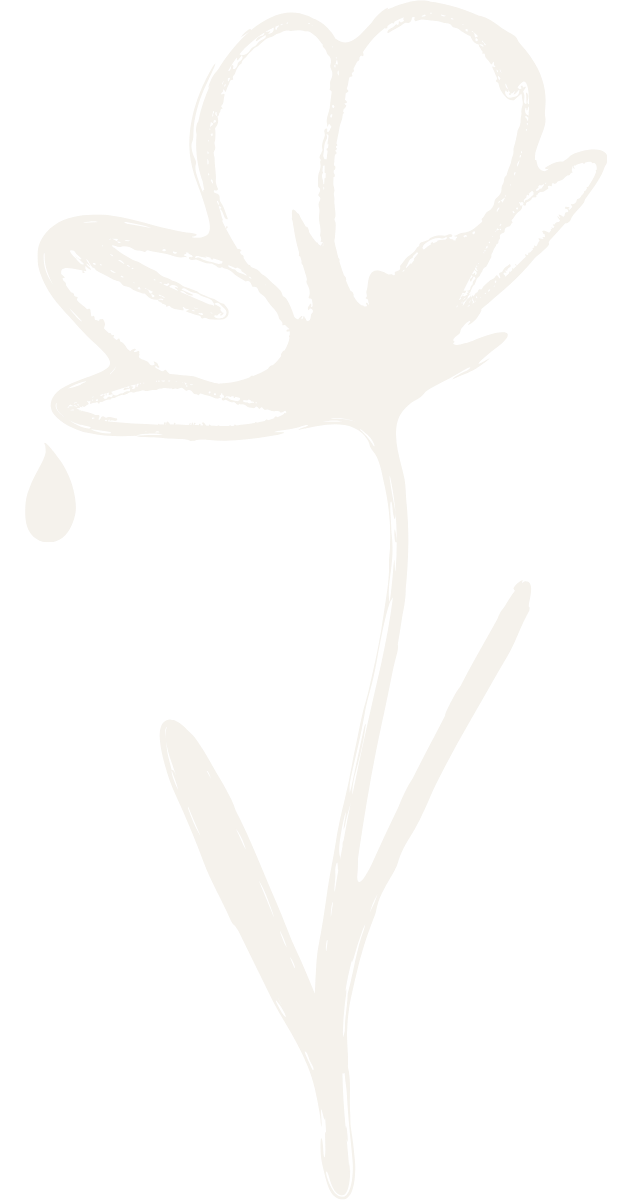 a hand drawn wildflower with one drop of dew falling off a petal