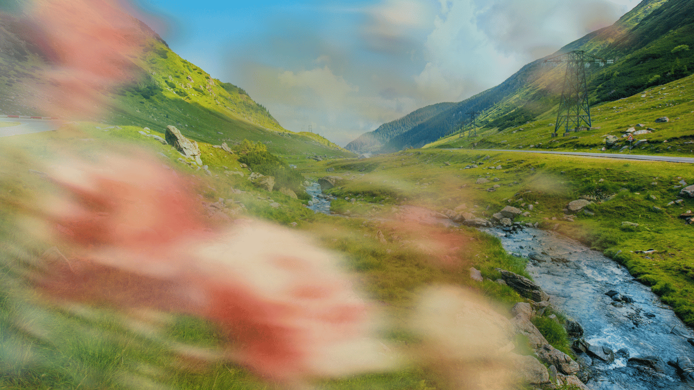 a photo of a small river rolling through a lush green mountain scape. The photo is overlaid with peach and pink florals blurred as if in motion.