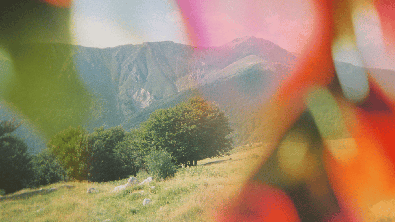 a photo of mountains is overlaid with orange and pink flowers and a green leaf- blurred as if in motion.