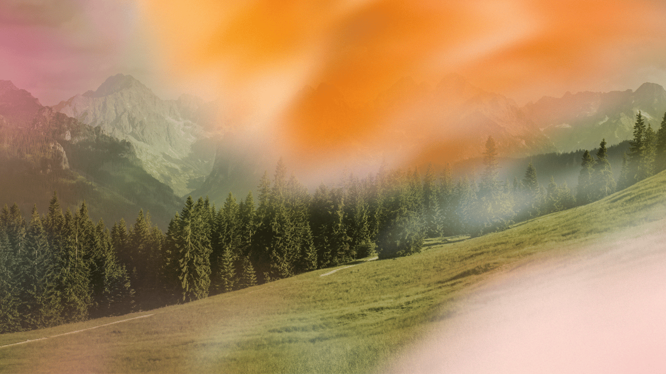 a mountain scape with spruce trees and a grass valley in the foreground. Pink and orange blurry flowers overlay the photo.