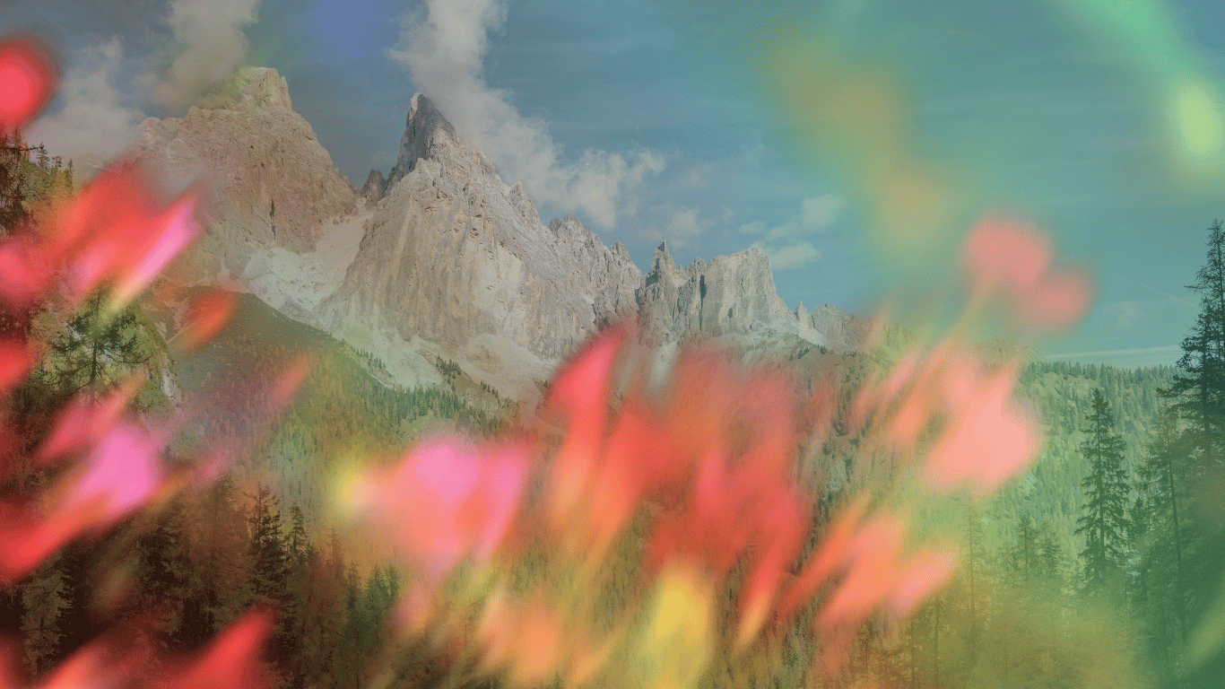 a photo of rugged mountains against a blue sky with whispy clouds in the background and a forest of evergreen trees in the foreground. the photo is overlaid with bright pink flowers that are blurred as if in motion.