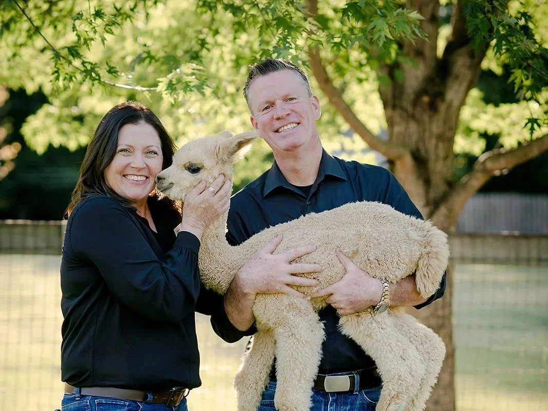 Meadowgate® Alpacas