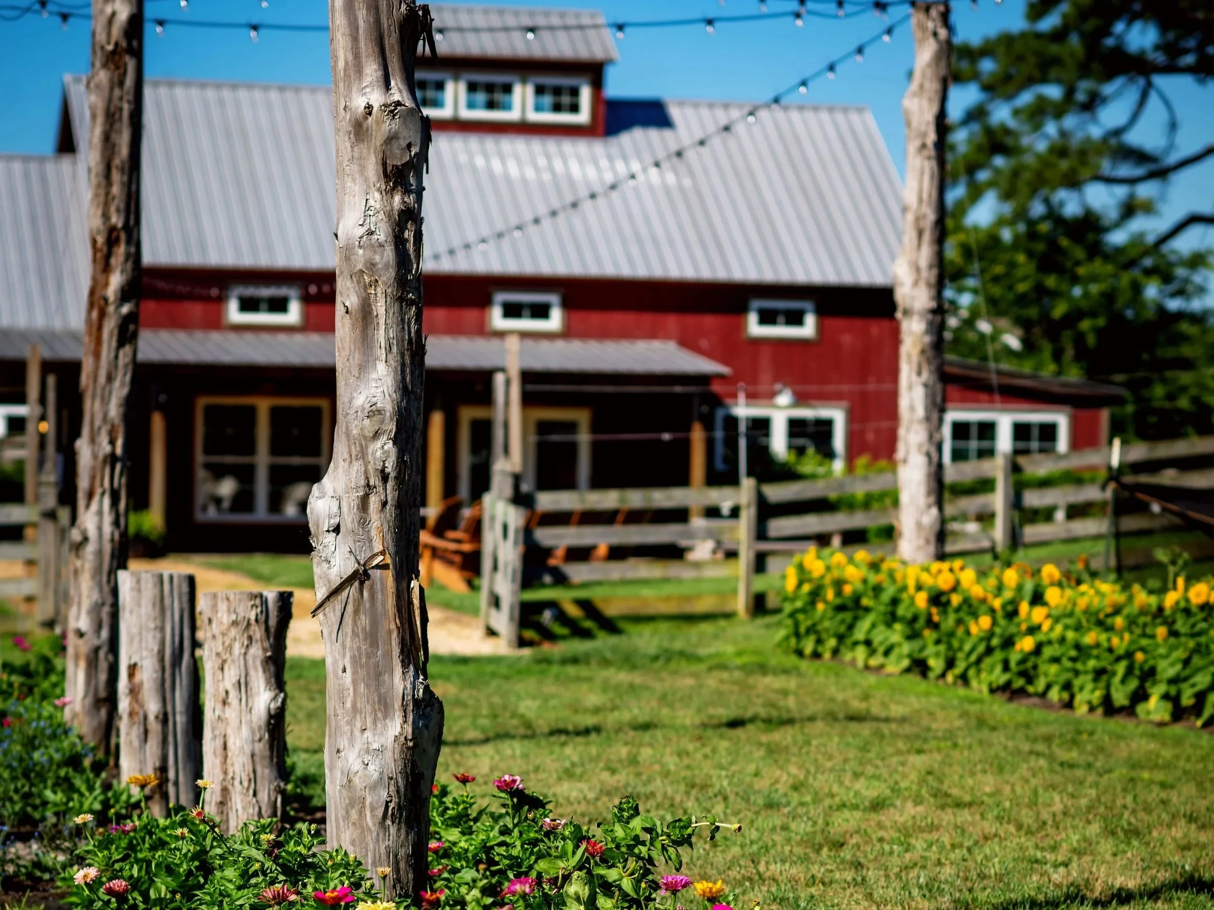 2026+-+WoodsideFarms-06.jpg