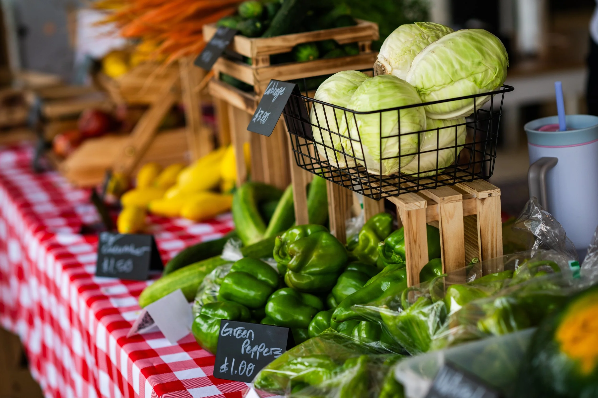 2026 - HanoverCSA-20.jpg