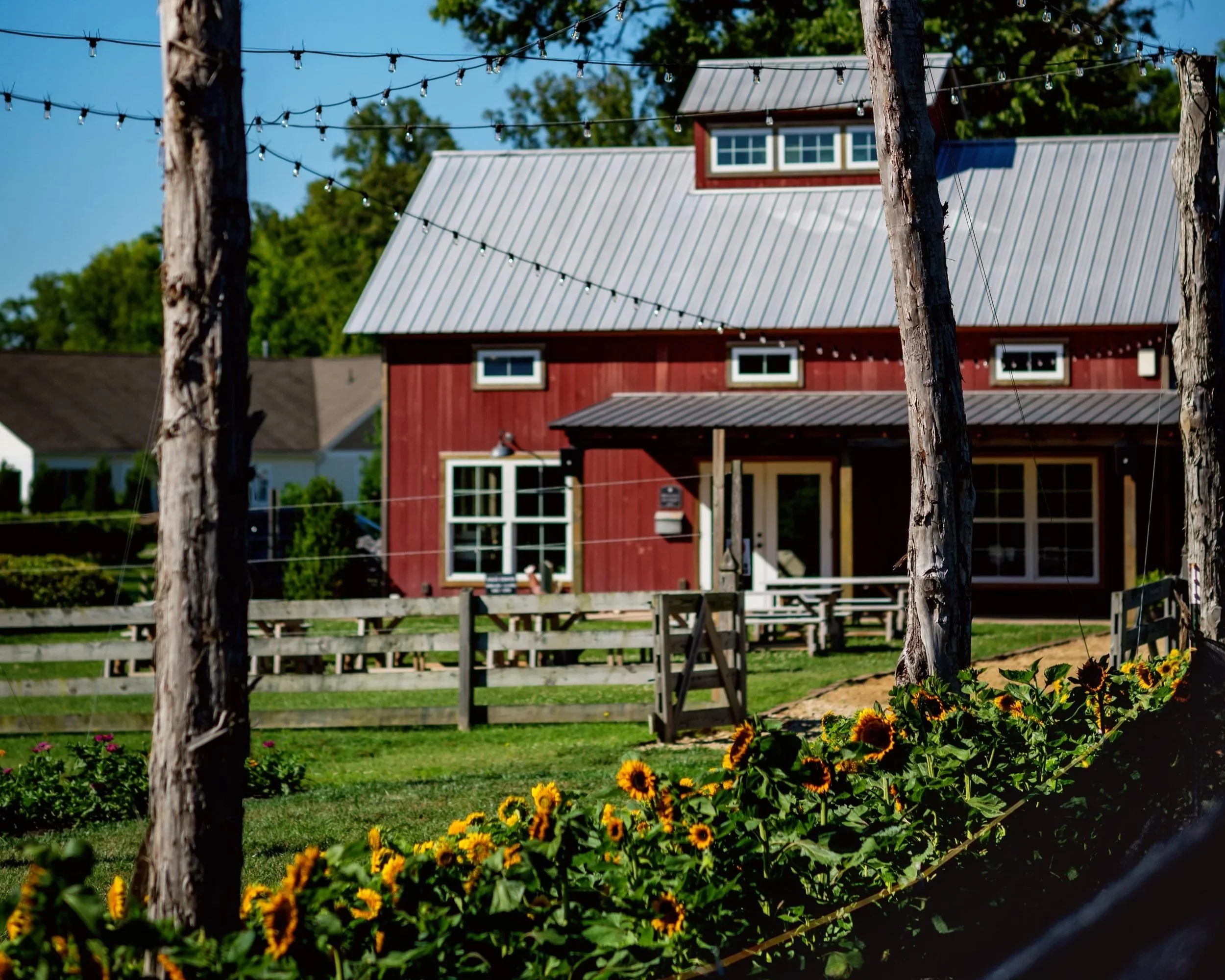 Woodside Farms