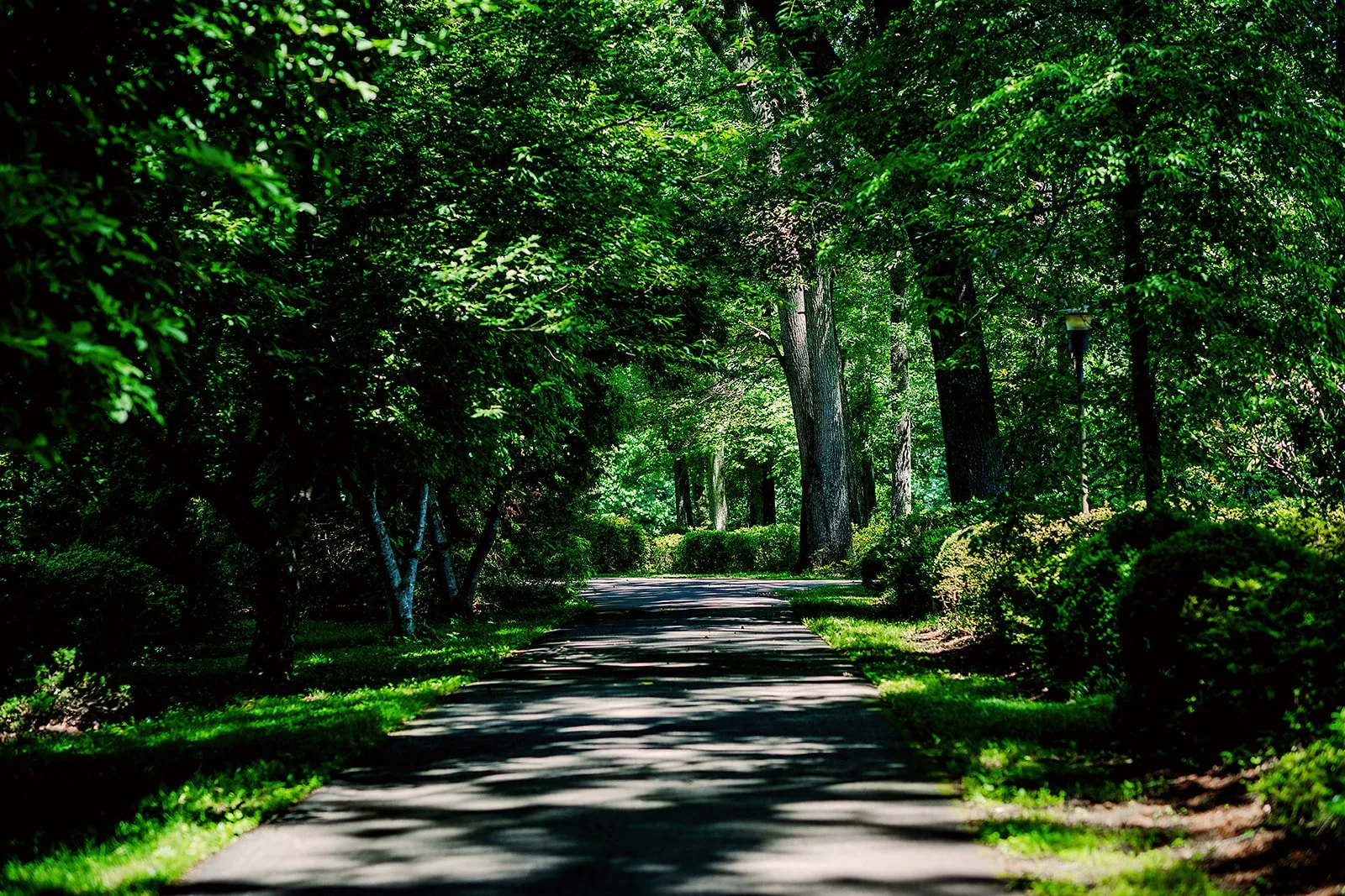 Lewis Ginter Nature Preserve