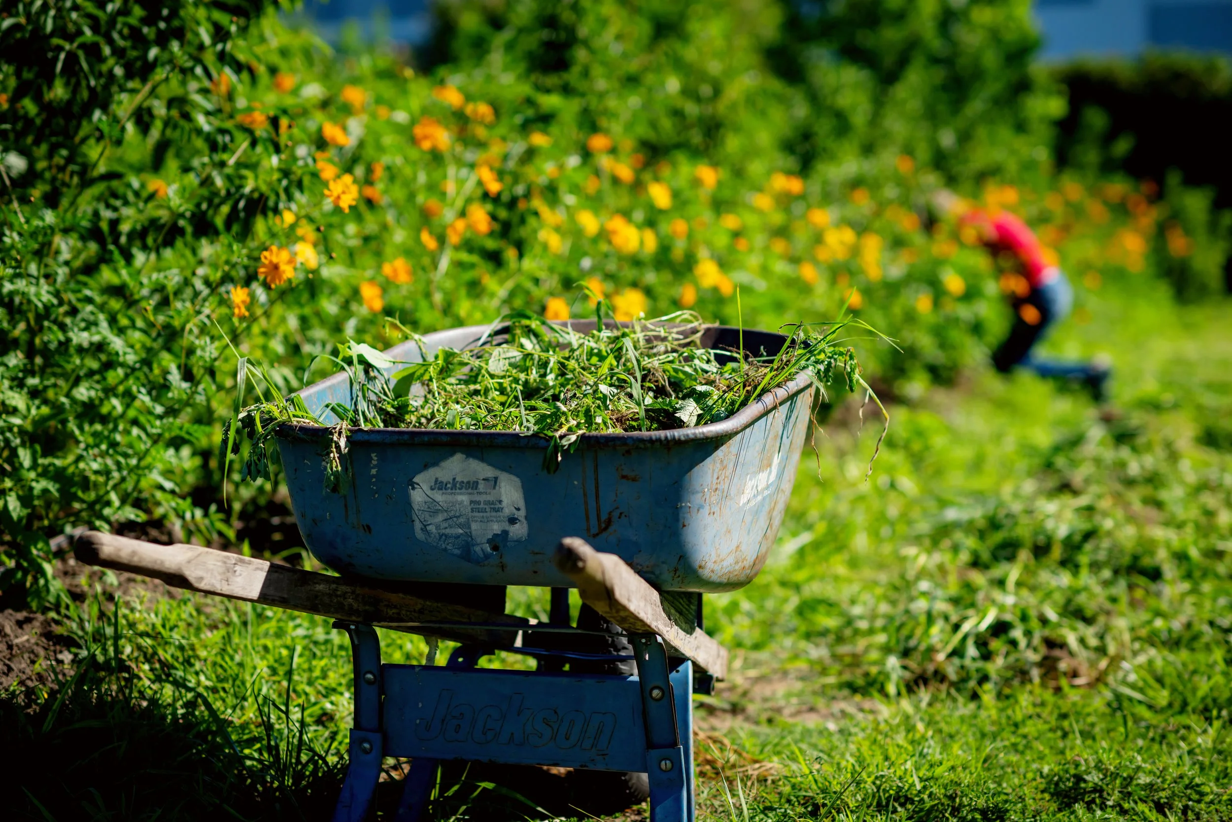 2026 - WoodsideFarms-04.jpg