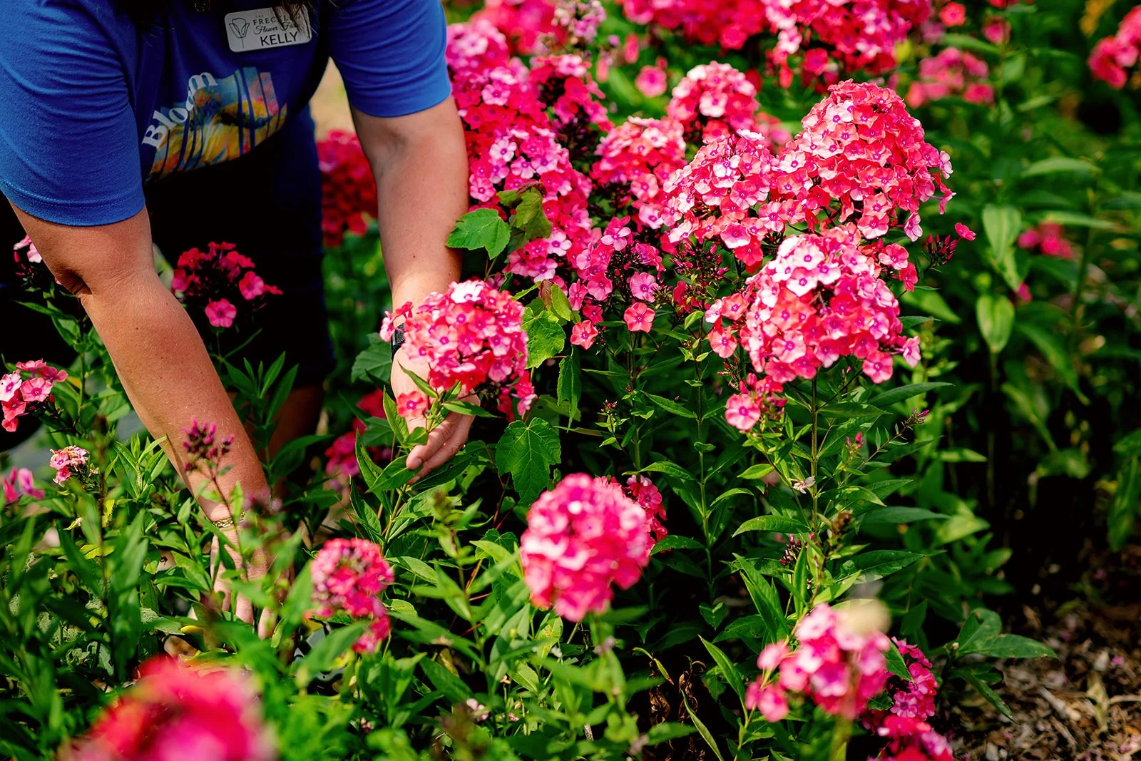 2026 - FreckledFlowerFarm-05.jpg