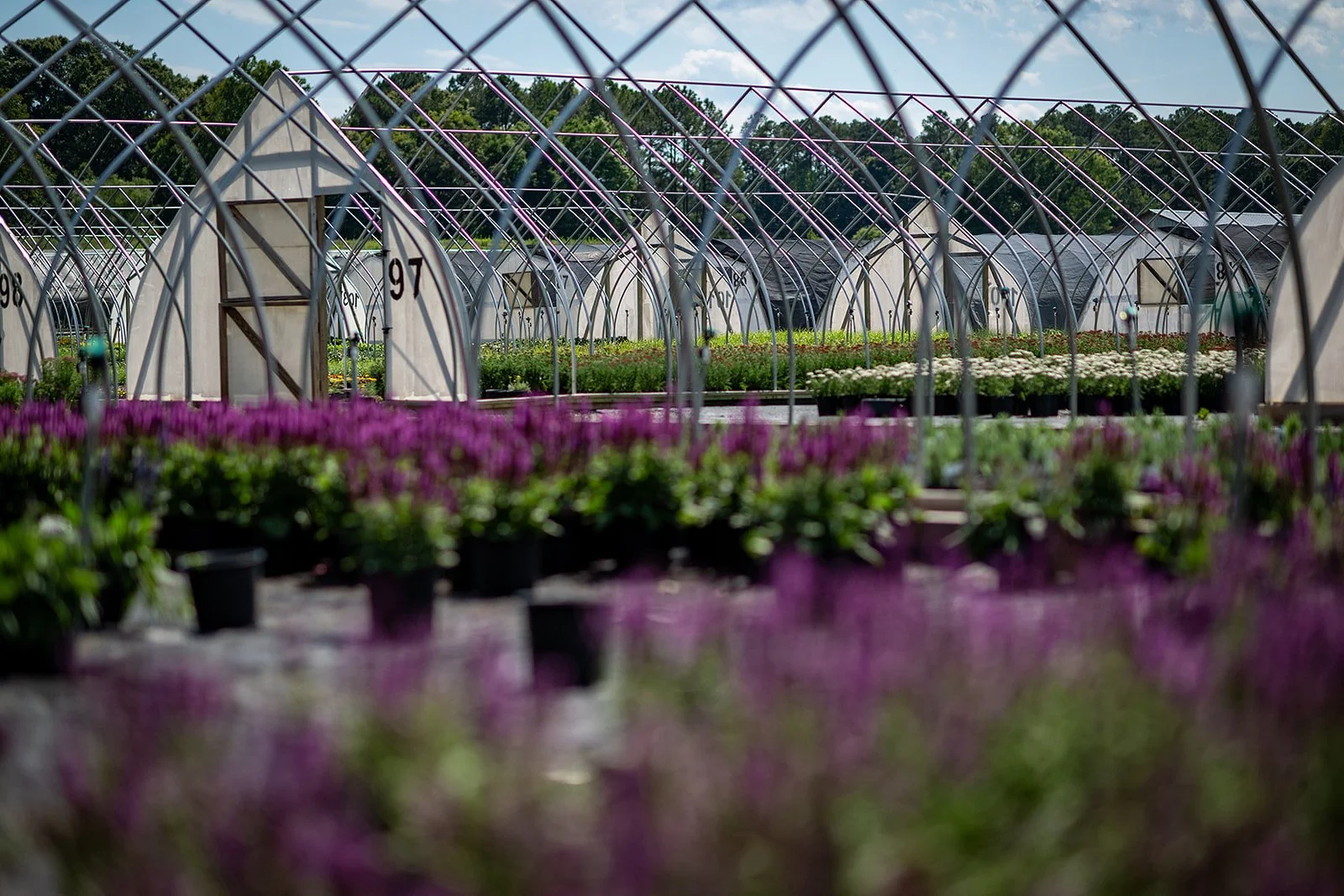 2026 - HanoverFarms-03.jpg