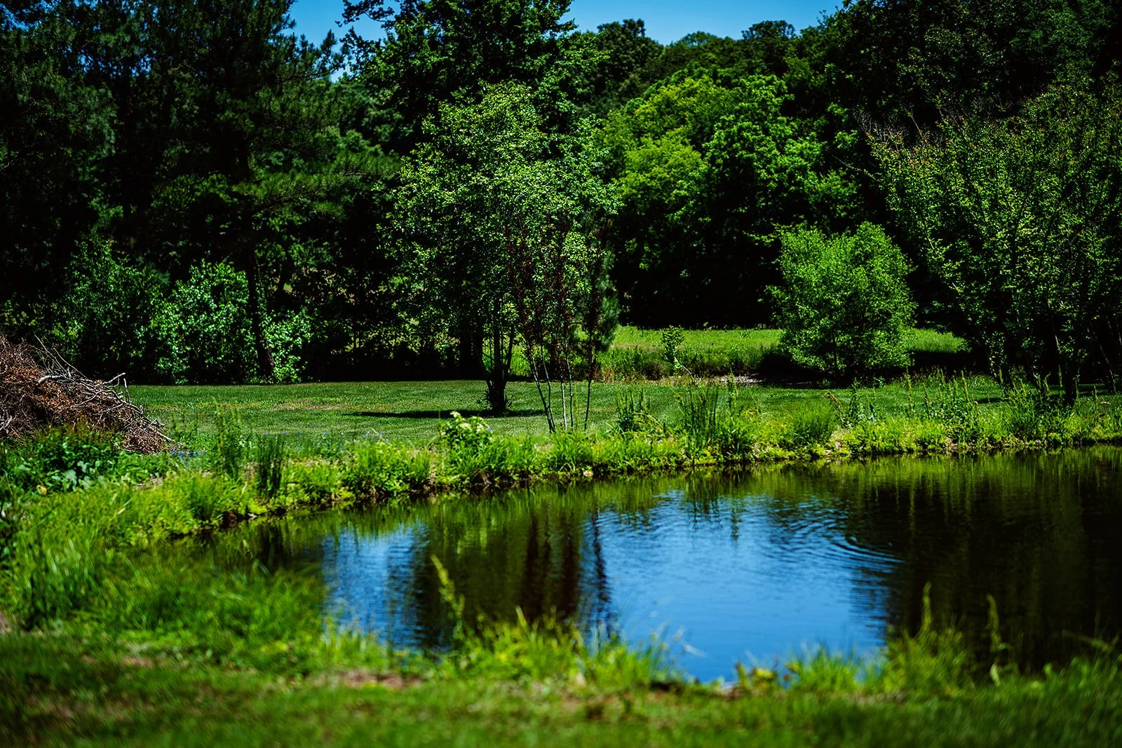 2026- LewisGinter-02.jpg
