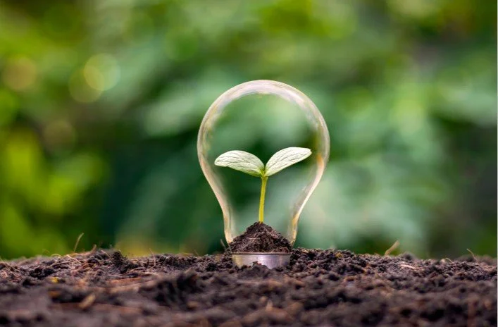 Lightbulb rising out of earth with a green shoot