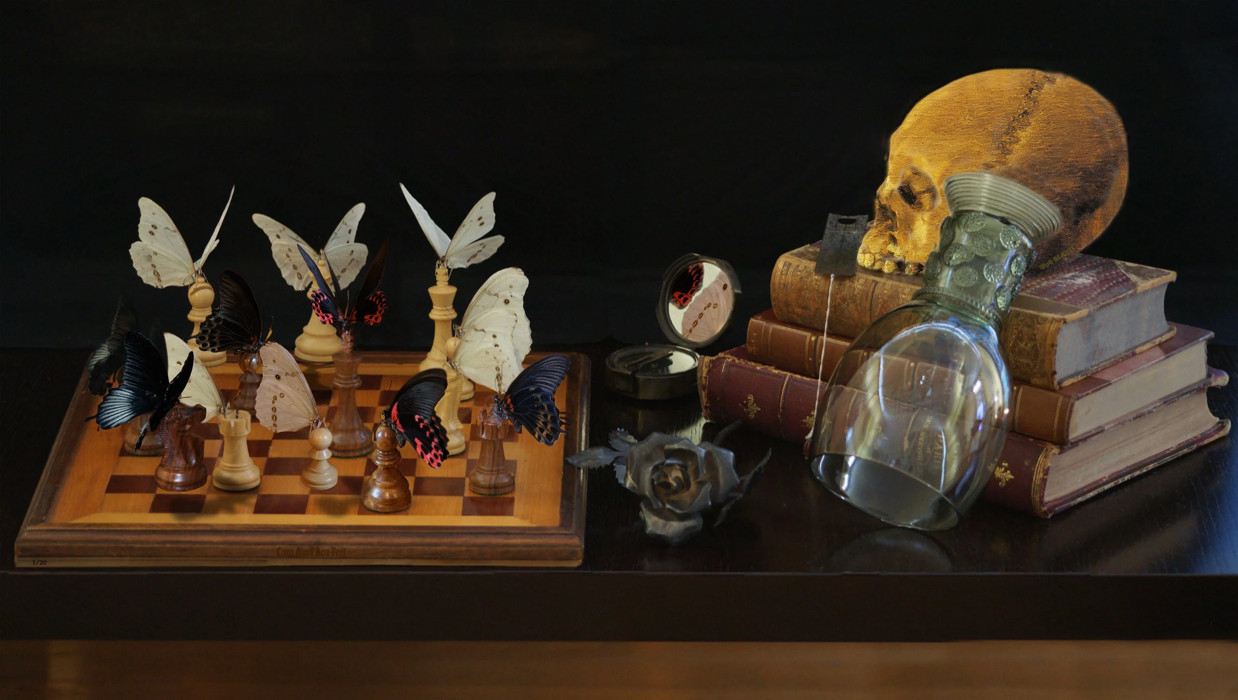 Death & Butterflies 48in. x 27 in.