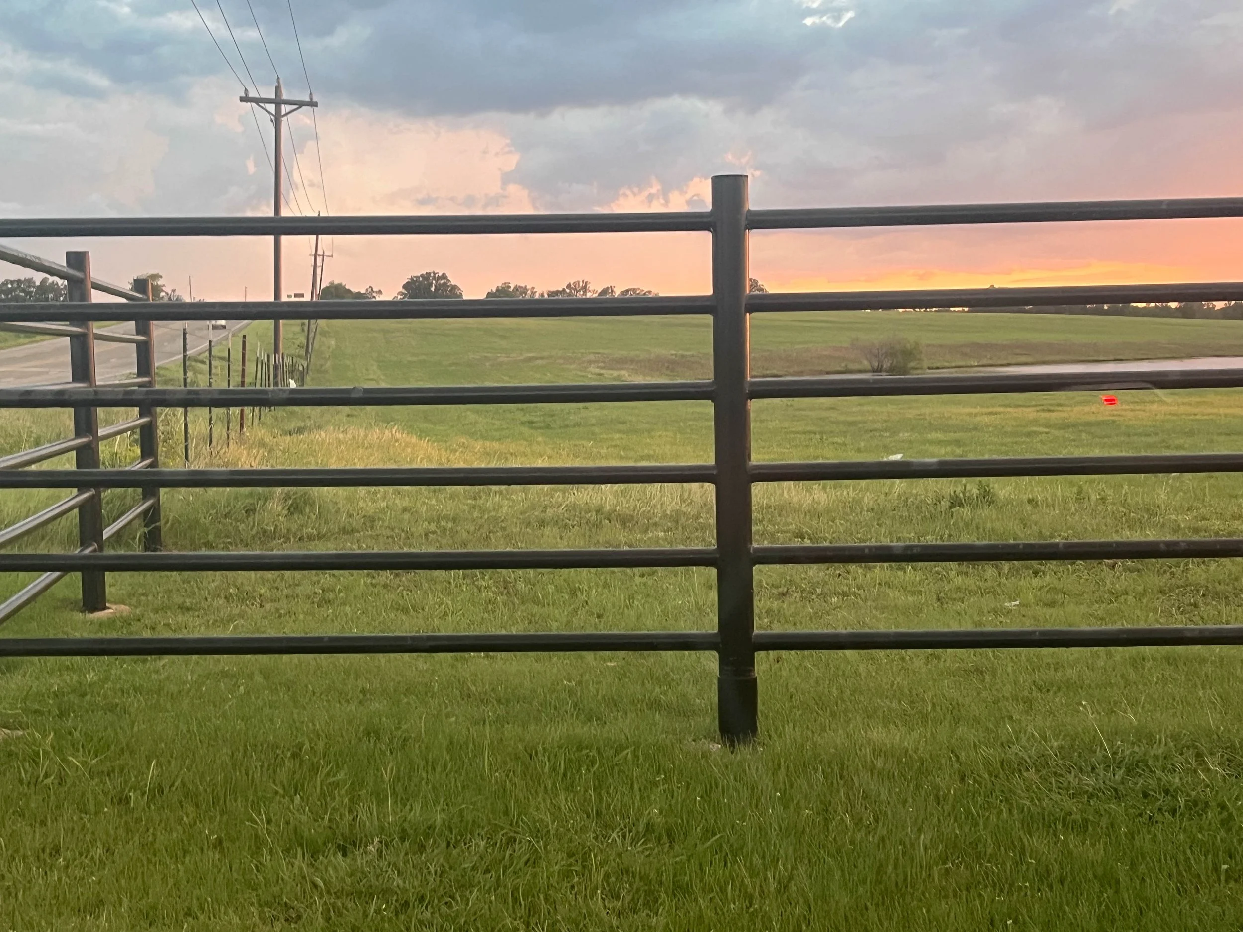 A metal gate in the foreground with green grass on the ground. In the background, there are open fields, trees, utility poles, and power lines. The sky has clouds with a colorful sunset or sunrise.
