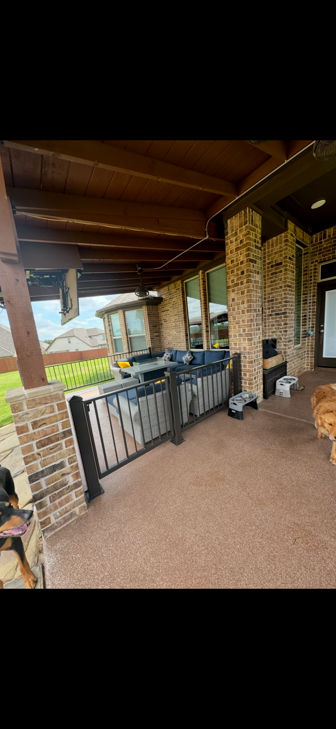 Outdoor porch featuring a black metal fence, gray sofa with yellow and black pillows, coffee table, ceiling fan, brick walls, and a dog on the patio.