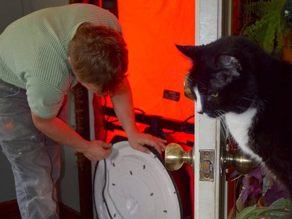 A person working on assembling or repairing equipment inside a house, with a black and white cat observing from the doorway.