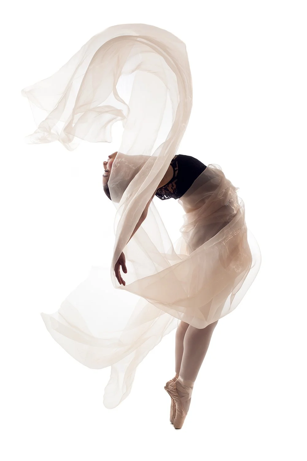 Carol Anne Hartman Photography