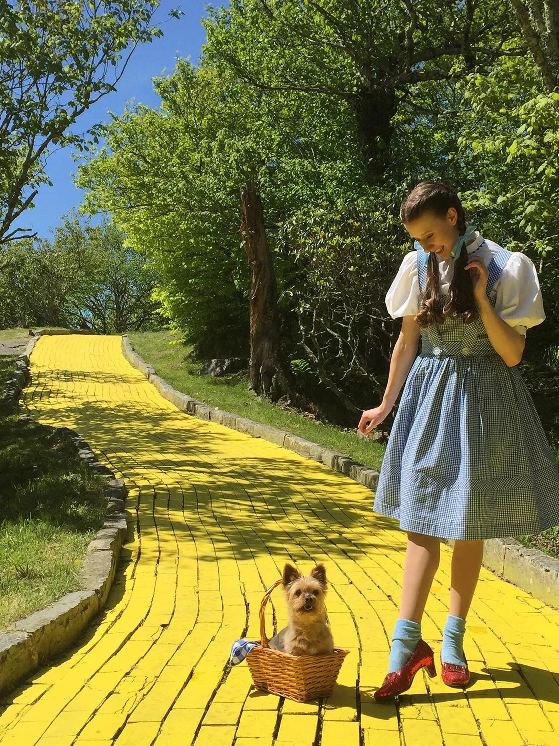 Young actress dressed as Dorothy from The Wizard of Oz standing on the Yellow Brick Road during musical theatre and acting training connected to Hickory Arts in Hickory, NC.