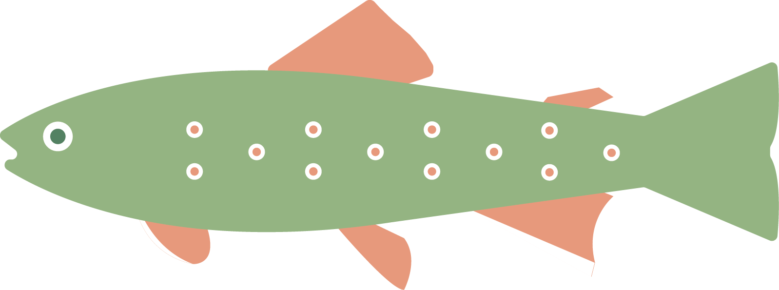 Illustration of a brook trout with a green body, orange fins, and white spots.
