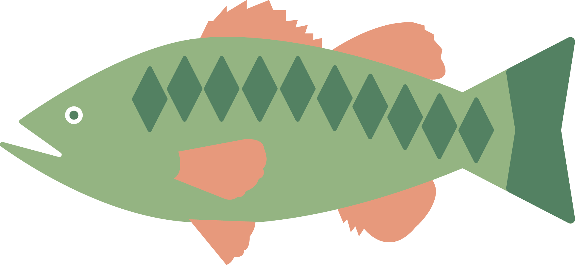 Simplified drawing of a spotted bass with pink fins and tail, and diamond-shaped patterns on its body.