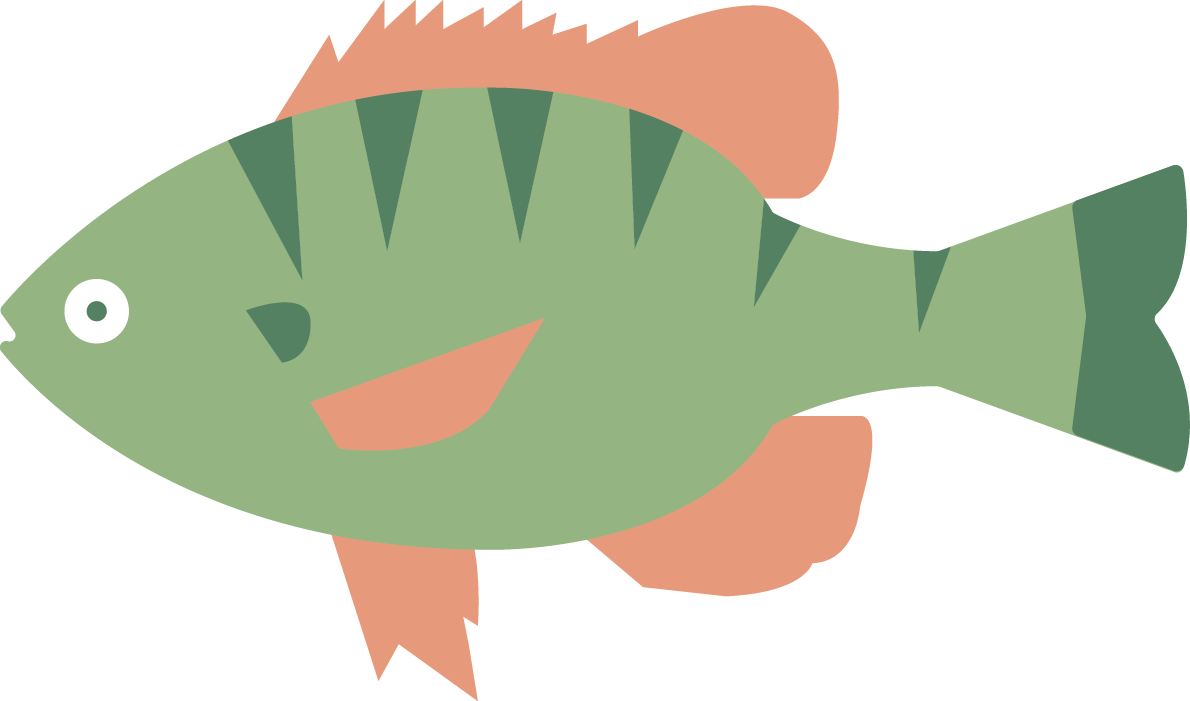 Illustration of a fish with green and pink coloring and cartoonish features.