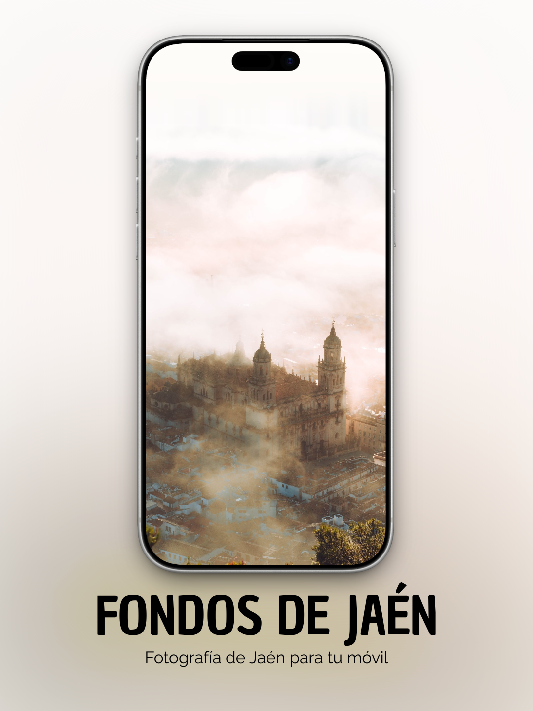 FONDOS DE JAÉN.png