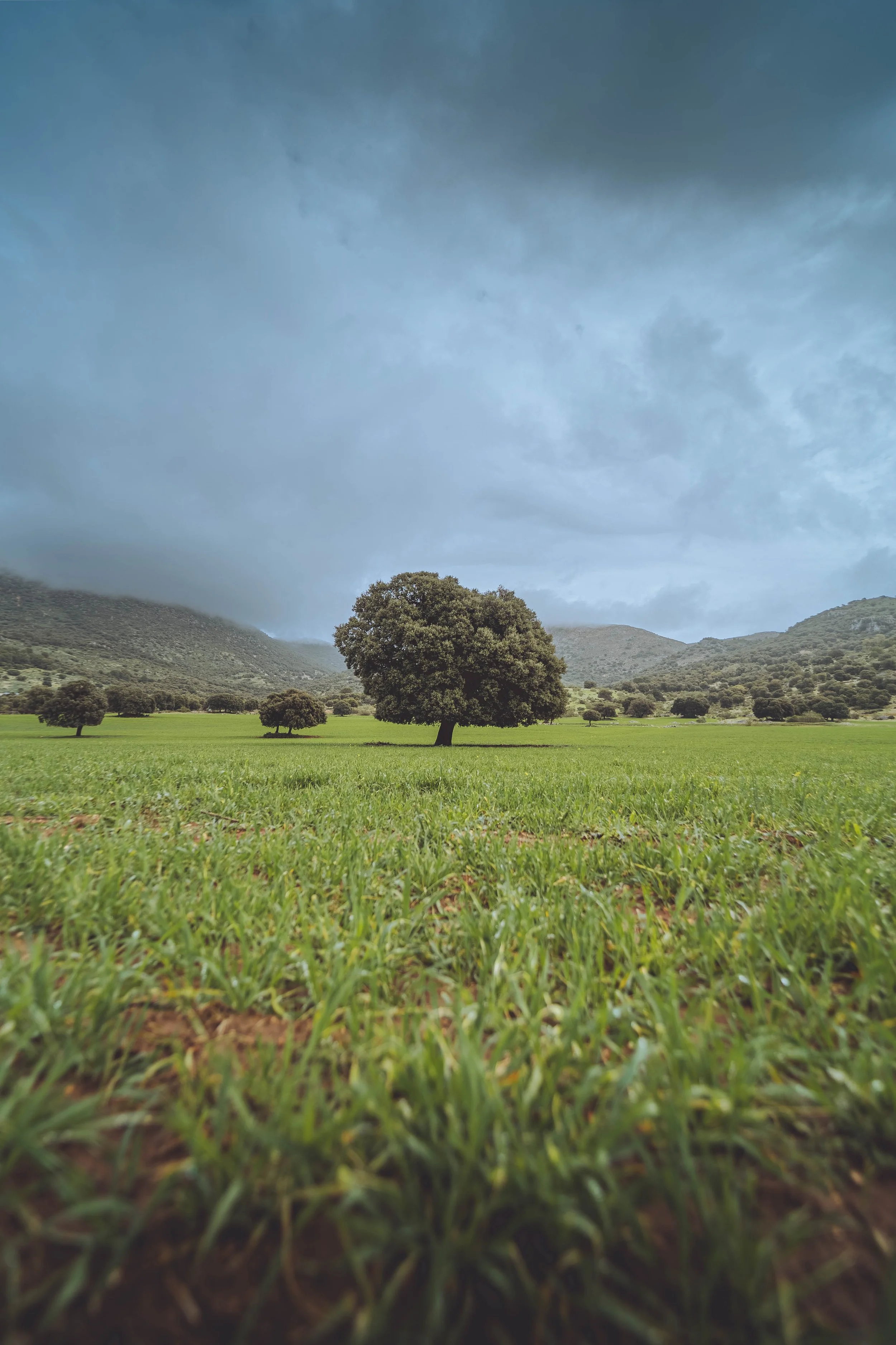 DSC01948-HDR.jpg