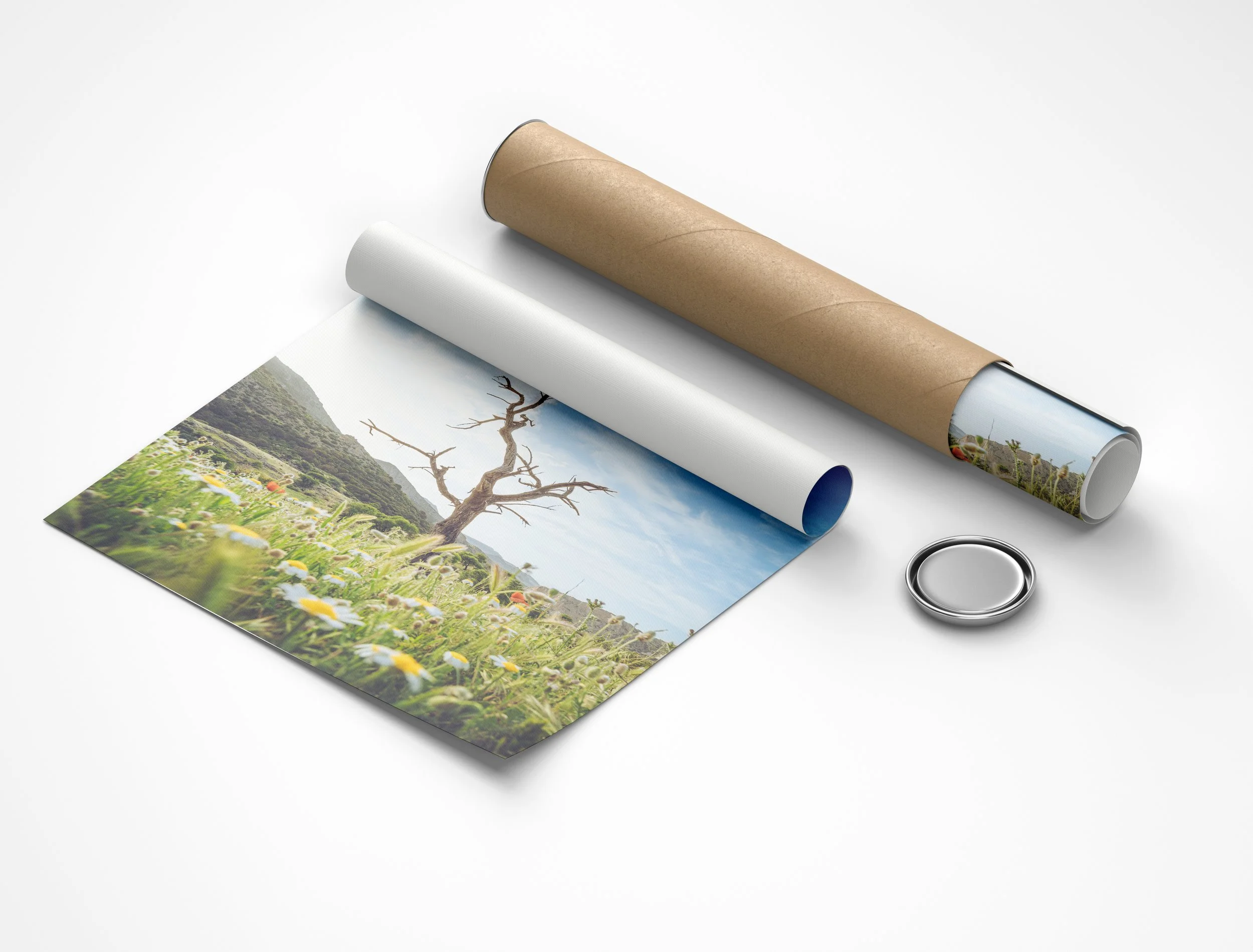 Free Rolled Canvas Poster with Tube Mockup (1).jpg