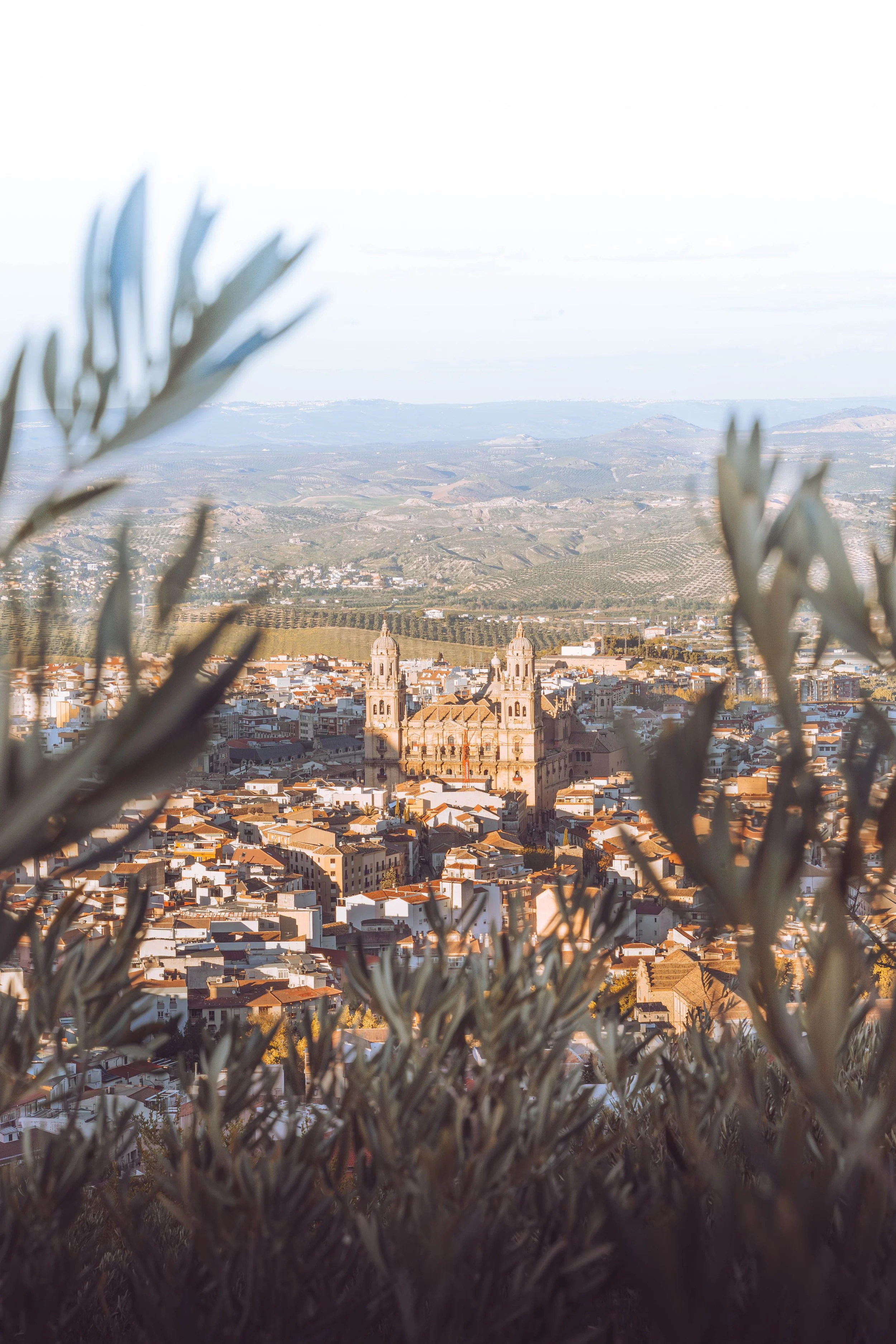 Catedral imponente.jpg