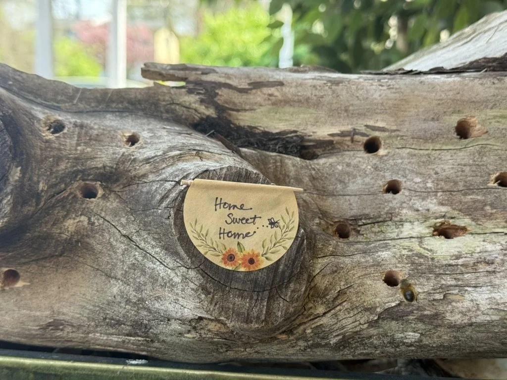 DIY log home for bees