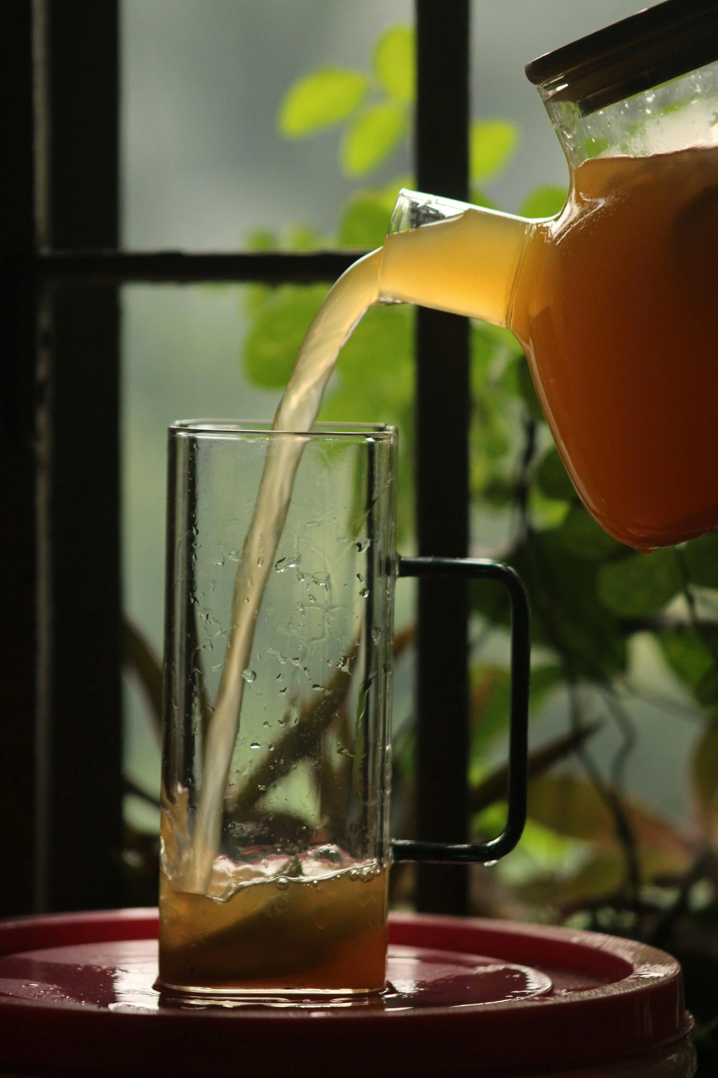 Homemade kombucha