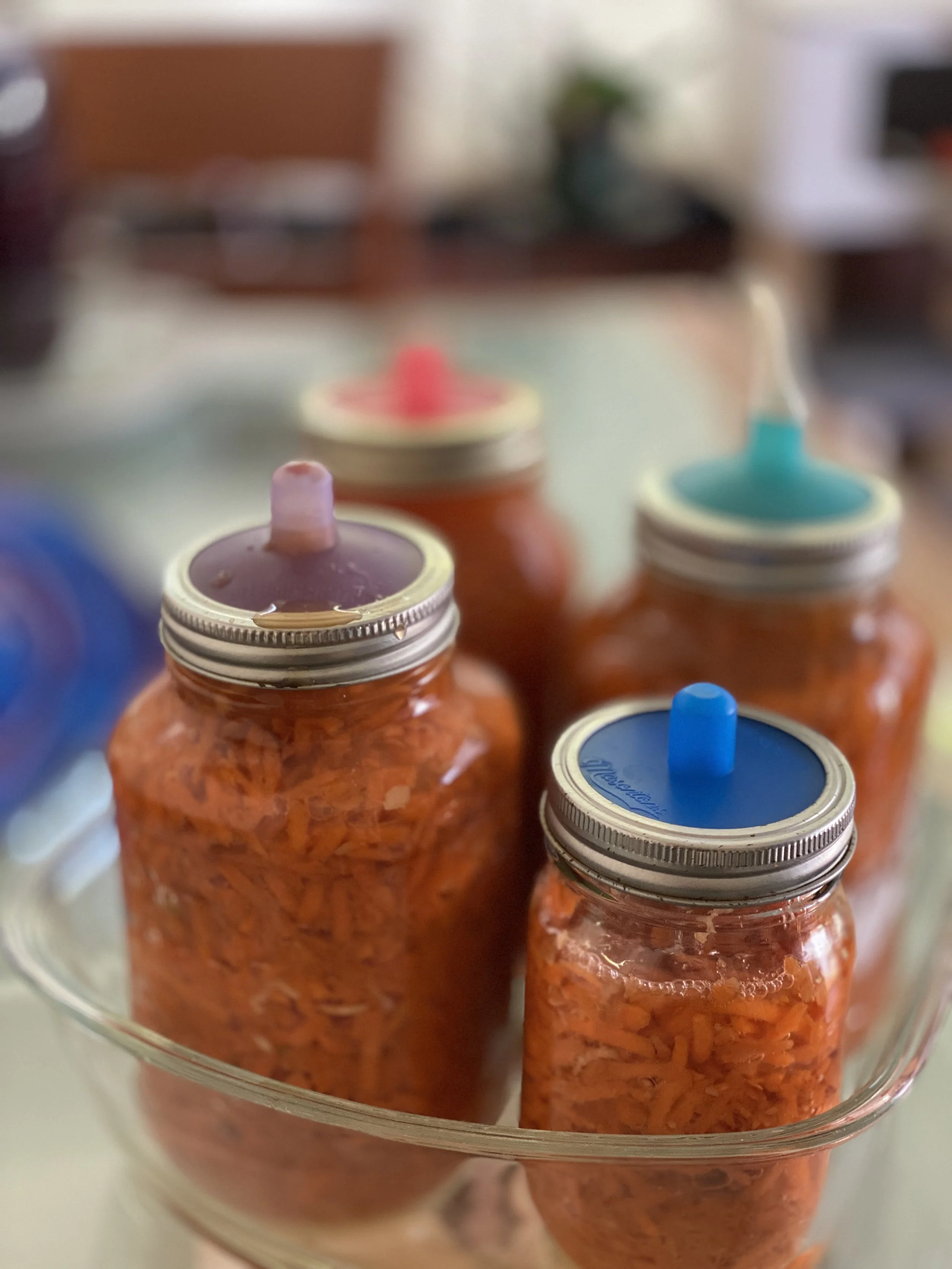 Homemade fermented carrots